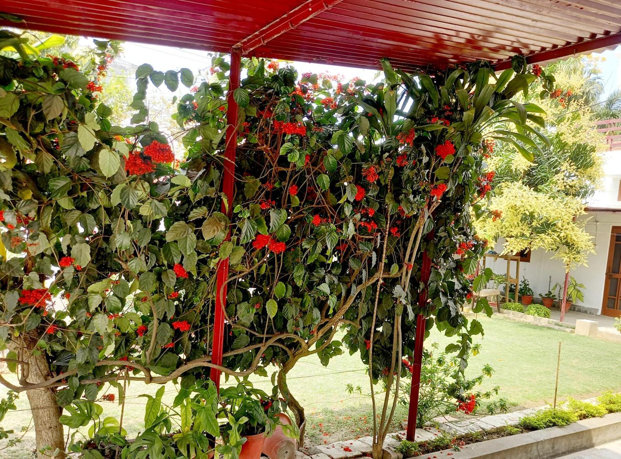 Garden View Residency Bed & Breakfast Lucknow Bagian luar foto